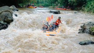 river rafting trips